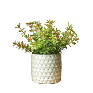 Plante artificielle de portulaca de 10,24 pouces en pot, réaliste, fausse portulaca pour la décoration de table à la maison, Saint-Valentin, Noël - Product Image 6