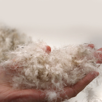 Haute qualité gris en gros plume de duvet de canard haute puissance de remplissage lavé 80% duvet de canard 10% mélange de plumes pour le remplissage