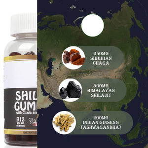Fulvik asit Chaga ashashandha B12 ve <span class=keywords><strong>D2</strong></span> vitaminleri Shilajit takviyesi ile Shilajit Gummies 500mg enerji ve bağışıklık desteği için - Product Image 3