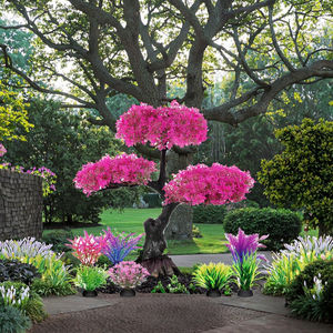 Nouveauté 2026 : Plantes artificielles écologiques en plastique pour aquarium, simulation d'herbe décorative pour aquarium carré, vente en gros - Product Image 3