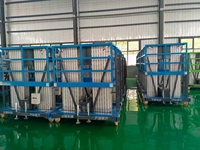 100kg 200kg Double Mât Électrique ManLift Ascenseurs Télescopiques Plate-Forme De Levage Hydraulique Ascenseur Manuel En Aluminium