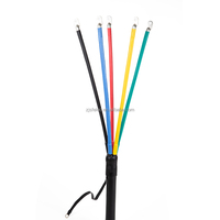 Kits de terminaison de câbles thermorétractables Shuangfeng 1KV étanches 1 ou 5 conducteurs, manchon thermorétractable pour câble d'isolation intérieur