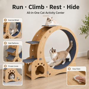 Rueda de Ejercicio para Gatos, Multicapa, 4 en 1, Estética, Silenciosa, Ecológica, de Madera, Moderna, para Gatos de Interior - Product Image 4