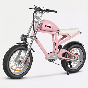 Vélo électrique de ville à prix de gros, 48v, <span class=keywords><strong>20</strong></span> <span class=keywords><strong>pouces</strong></span>, moto électrique, vélo électrique de ville - Product Image 3