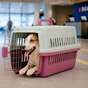 Trasportino per Cani e Gatti, Disponibile in 3 Misure, 6 Colori a Scelta - Product Image 4