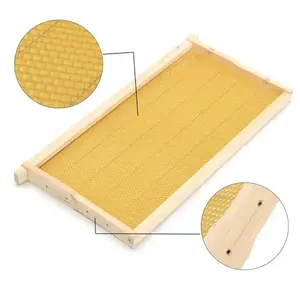 मधुमक्खी पालन उपकरण वायर्ड वैक्स फाउंडेशन शीट मधुमक्खी फ्रेम के साथ इकट्ठे लकड़ी के मधुमक्खी के छत्ते फ्रेम