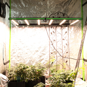 Flexstar 645W SE quang phổ đầy đủ dẫn phát triển ánh sáng cho các nhà máy thương mại phát triển thay thế HPS phát triển ánh sáng - Product Image 1