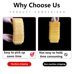 Customized Disposable PET/PP Mooncake Pastry <strong>Dessert</strong> <strong>Tray</strong>/Box Packaging For Cupcakes Snacks <strong>Desserts</strong> Chocolates Blister Products - Product Image 2