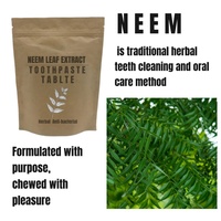 Comprimés de dentifrice à base de Neem en sachet papier, sans fluor, comprimés dentaires à mâcher, fabricant OEM ODM
