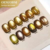 Vernis Gel Magnétique Effet Œil de Chat 3D Or, Marque Privée, Bouteille Personnalisée, Soak Off, pour Fournisseurs de Produits pour Ongles