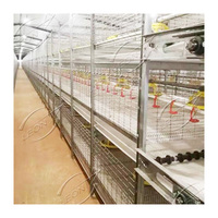 Poulet de cage de batterie de gril de type h semi-automatique à bas prix avec ceinture à fumier