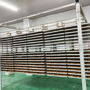 Machine de lyophilisation à vendre Machines de lyophilisation sous vide Machines de vente automatiques <span class=keywords><strong>pour</strong></span> aliments lyophilisés - Product Image 6