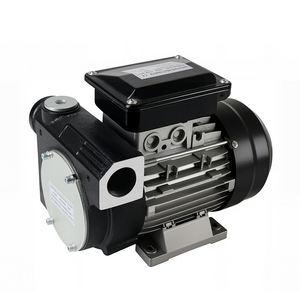 ACTP80 低压柴油机燃油输送泵 铁质材质 OEM 可定制 550W 110V/220V - Product Image 1
