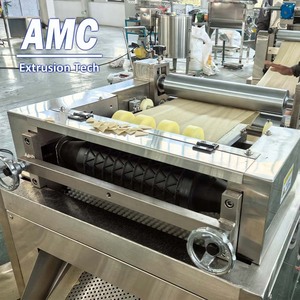 เครื่องทำขนมปุชก้าพานิปุรี AMC พร้อมเครื่องทอดและอัดรีดขนมแบบ 2 มิติ และ 3 มิติ - Product Image 6