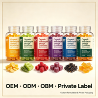 Gummies SYC BIO Shilajit de l'Himalaya 60 unités avec Ashwagandha et Acide Fulvique – Formule Végétale – Complément Quotidien pour la Vitalité au Quotidien