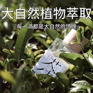 Fat <b>Reed</b> <b>Diffuser</b> 30-60 Days Scented Zhejiang Made <b>For</b> Home Aromatherapy - Product Image 5