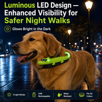 Collier LED fantaisie pour chien en forme de crocodile, haute qualité, 3 modes, rechargeable par USB, idéal pour Halloween, pour chiot Chihuahua
