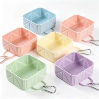 Nouveau porte-clés pliable en silicone imperméable pour voyage en plein air, avec gamelle pour chat et chien