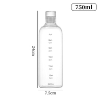 Bouteille d'eau en verre transparente sans BPA de 500 ml et 1000 ml avec marqueur de temps et bouchon à bouton-poussoir pour les voyages