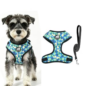 Arnés Extensible para Perros Pequeños y Medianos, Estilo Chaleco, con Diseño Floral, de Poliéster, Marca Habili, Correa para Pasear, Venta al Por Mayor - Product Image 5