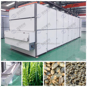 La línea de producción de secado de correa de malla maneja cebollino fresco y eneldo con velocidad rápida para el procesamiento diario - Product Image 4