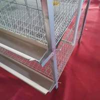 Granja avícola automática de nuevo diseño a bajo precio con sistema de línea de alimentación para producción de huevos Jaulas de capas de 10000 capacidad
