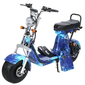 EEC Approved Street Legal Electric Citycoco Type Scooter