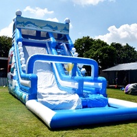 Toboggan aquatique gonflable avec piscine, PVC de qualité commerciale, toboggan géant Tide Wave pour enfants et adultes, équipement de parc aquatique