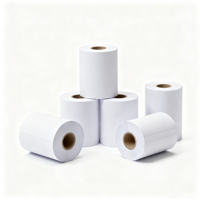 Papier thermique 80 mm, rouleau de papier pour caisse enregistreuse 80x80, rouleaux de papier pour caisse enregistreuse 48/55/65/70 GSM, rouleau de papier thermique pour terminal de point de vente portable