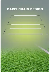 Ip65 Waterdichte T8 Led Grow Light Grow Tube Voor Hydrocultuur Verticale Landbouw En Kamerplanten Tuinieren