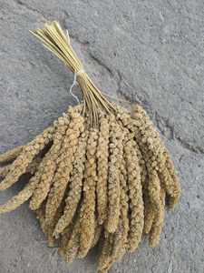 Voedsel Voor Vogels 15Kg Kartonnen Doos Pakket Vogel Voedsel Geel Rode Gierst Sprays Vinger Gierst - Product Image 3