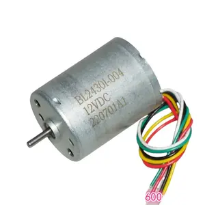 Motore DC Brushless 9-32V Micro 2430 Modello 13500RPM Antideflagrante a Magneti Permanenti per Robot Aspirapolvere Smart Home - Product Image 1