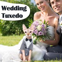 Costume de chat en coton uni avec nœuds papillon, style britannique, combinaison pour Halloween, mariage, anniversaire, toutes saisons
