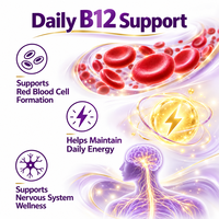 Comprimés sublinguaux de vitamine B12 méthylcobalamine sous marque privée – Compléments alimentaires quotidiens – Fournisseur d'usine OEM ODM – Vente en gros