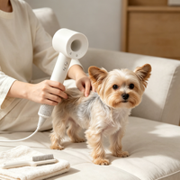 Sèche-cheveux professionnel haute vitesse sans pales, à ions négatifs, puissant et à fort débit d'air pour usage domestique et hôtelier