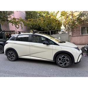 Barres transversales de toit en aluminium Paw Pro pour BYD Dolphin, porte-bagages personnalisé pour voiture - Product Image 6