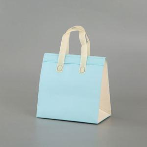 Custom Women Lunch Bag Bolsa De Almuerzo Takeaway Insulated Pouch Pp Non-Woven Aluminum Foil Disposable Cooler Bag - Product Image 1
