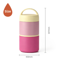 Boîte à lunch isotherme 2-en-1 personnalisable en acier inoxydable sans BPA, double compartiment, avec poignée portable, anti-fuite, pour le bureau et les voyages