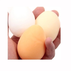 Huevos falsos para niños, Juguetes DIY, conchas de plástico de simulación pintadas, Juguetes Divertidos para enseñanza de guardería - Product Image 6