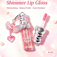 Coffret de 6 gloss à lèvres avec pendentif cœur aile d'ange détachable, hydratant et brillant, maquillage cosmétique pour les lèvres, boîte de présentation de 24 pièces