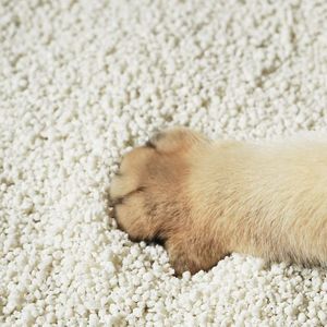 Nhà Máy Giá sắn thân thiện với môi Cat Litter compostable cát với không dính clumping cho dễ dàng dọn dẹp 2.4kg - Product Image 2