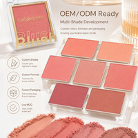 Kit de fard à joues personnalisé à marque privée, fini naturel, poudre fine, taille standard 55x55mm, profil mince, pour tous les tons de peau, coffret cadeau