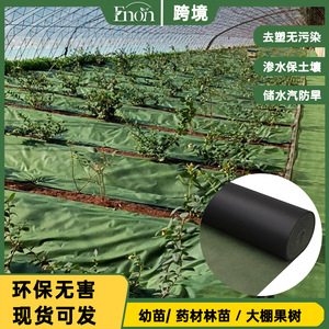 Toile de paillage multifonctionnelle non tissée géotextile verte et <span class=keywords><strong>noire</strong></span> 50-150g/m² respirante et absorbante pour l'agriculture - Product Image 3