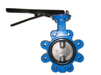 Katup Kupu-kupu Manual Tipe Lugged dengan Dudukan Lunak GGG40 PN16 DN50-300mm