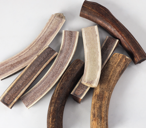 Gậy Gạc Hươu Tự Nhiên Gậy Gặm Răng Cho Chó Gậy Nhai Gặm Làm Sạch Răng Cho Thú Cưng Que Gạc Tuần Lộc - Product Image 2