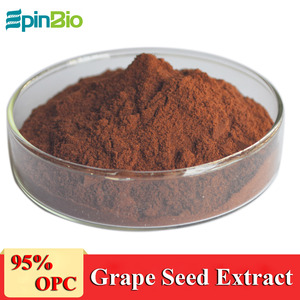 Epinbio Cung Cấp 100% Chiết Xuất Hạt Nho Proanthocyanidins <span class=keywords><strong>95</strong></span>% Nguyên Chất - Product Image 5