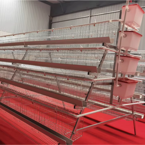 Nouvelles cages à poulets automatiques en acier de type A pour l'élevage de poules pondeuses - Product Image 1