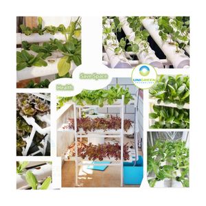 Système hydroponique miniature double face pour 72 plantes, kit de <span class=keywords><strong>culture</strong></span> hydroponique miniature, <span class=keywords><strong>serre</strong></span>, horticulture d'intérieur pour légumes - Product Image 6