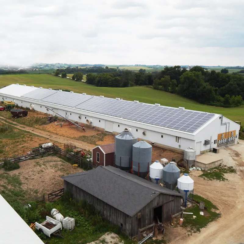 High quality and excellent design prefab chicken house prefabricated steel structure farm poultry house