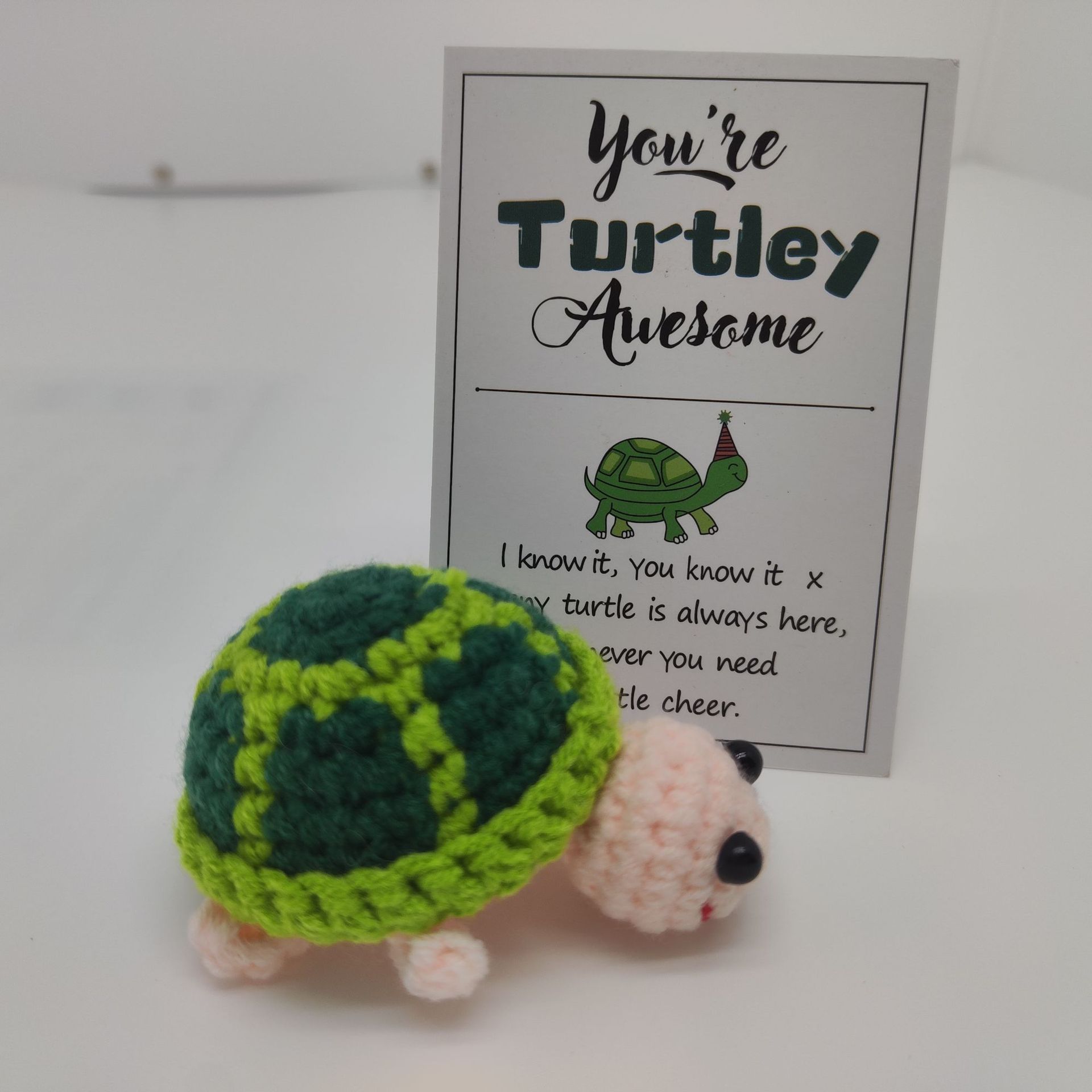 Turtle + card